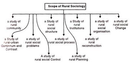 nature of sociology