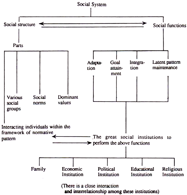 Social System: Meaning and Functions (With Diagram)
 Social Anatomy Definition
