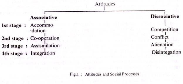 Attitudes and Social Processes