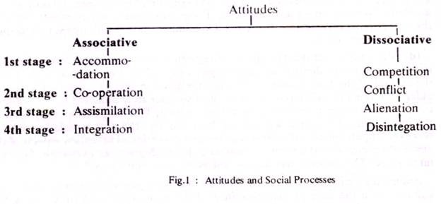 The nature of social groups will be clear if we make a distinction among the following kinds of groups